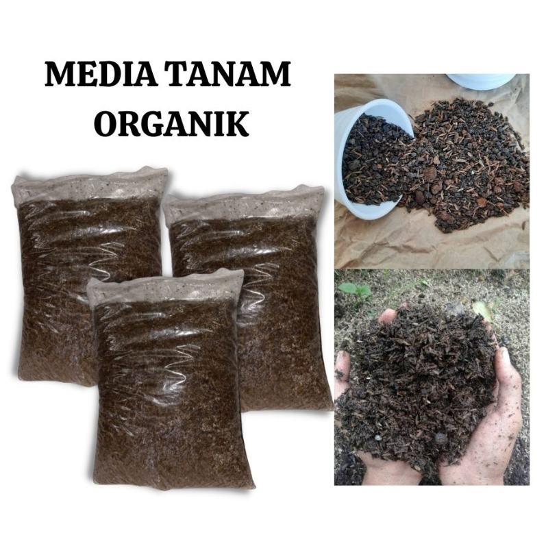 Perhatikan Media Tanam