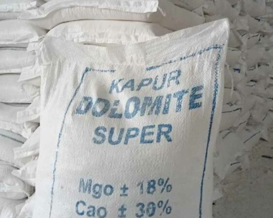 harga pupuk dolomit