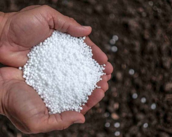 harga pupuk urea