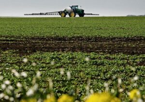 herbicide resistant crops