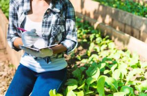 best horticulture schools online 