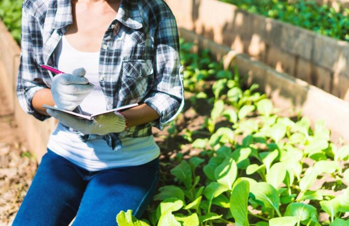 best horticulture schools online